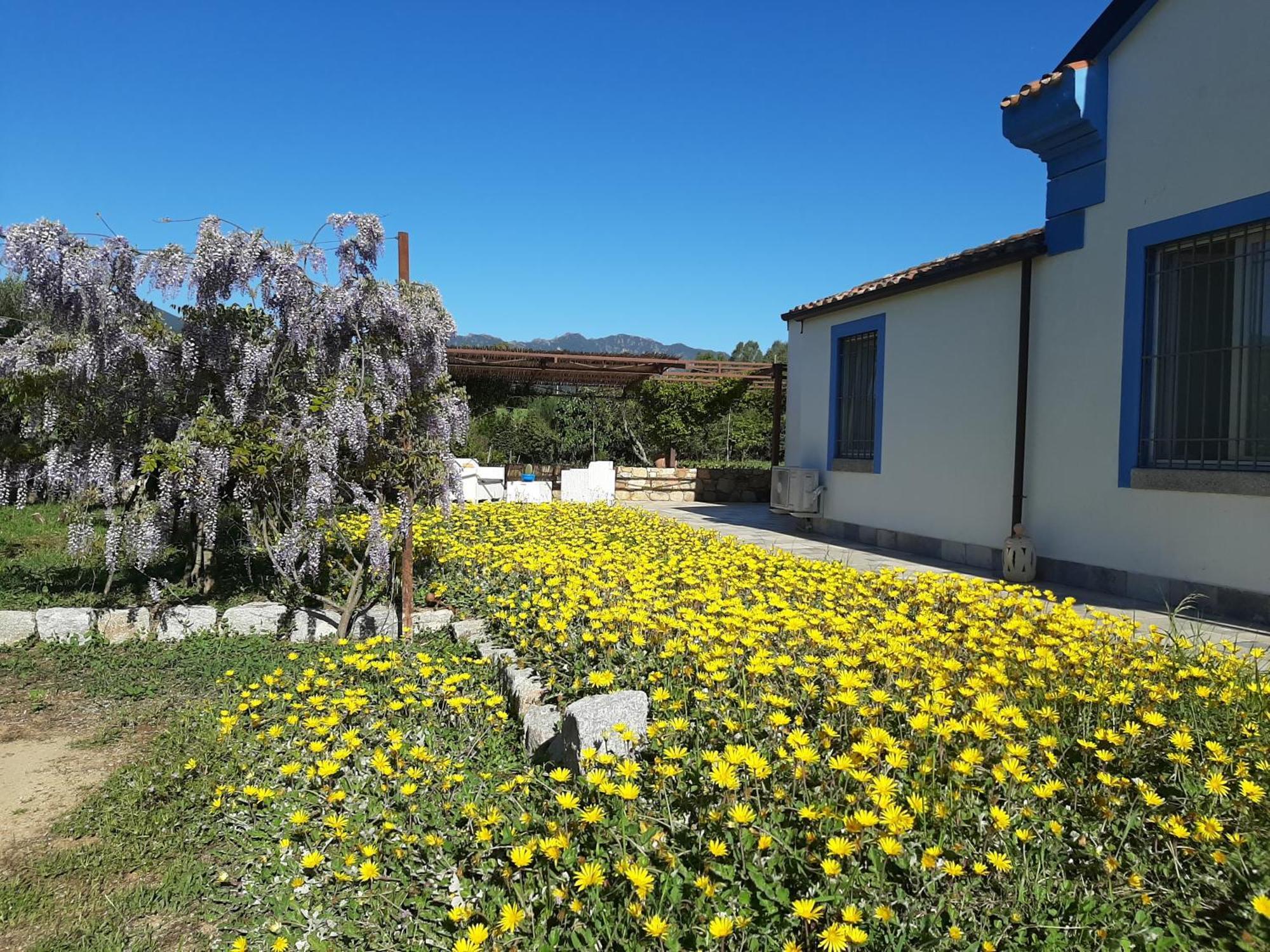 Casale Diletta Bed & Breakfast Castiadas Exterior photo